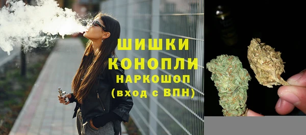 мяу мяу мука Кодинск