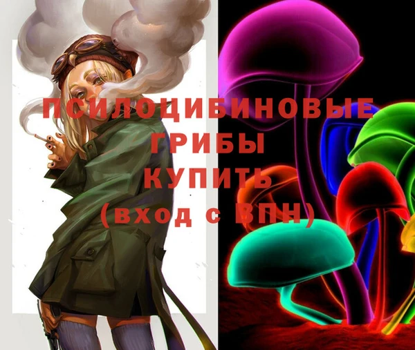 метамфетамин Козельск