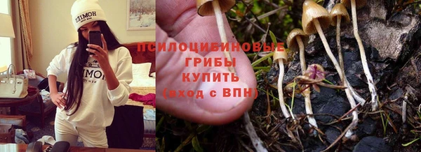 метамфетамин Козловка